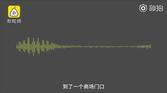 徐小平最新爆料消息视频,揭秘创业圈幕后真相与行业动态